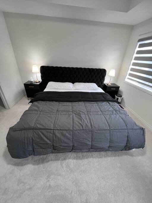 Brand New 4 Bedroom Villa By Hamilton Airport! Ngoại thất bức ảnh